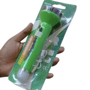 Torch Light